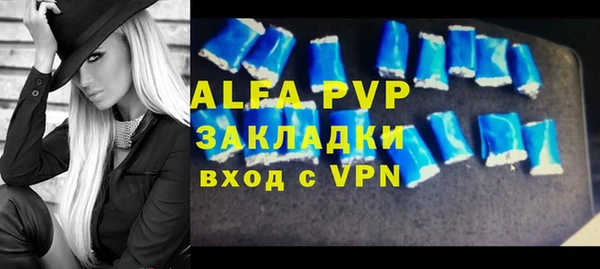 индика Баксан