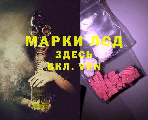индика Баксан