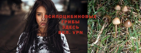 индика Баксан