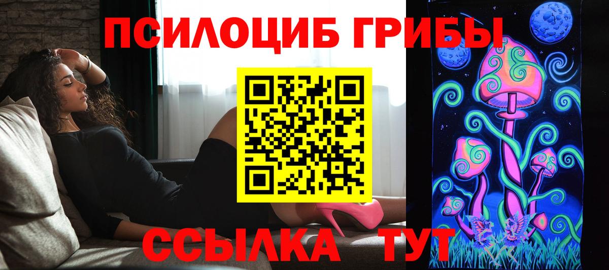 Псилоцибиновые грибы ЛСД Гудермес