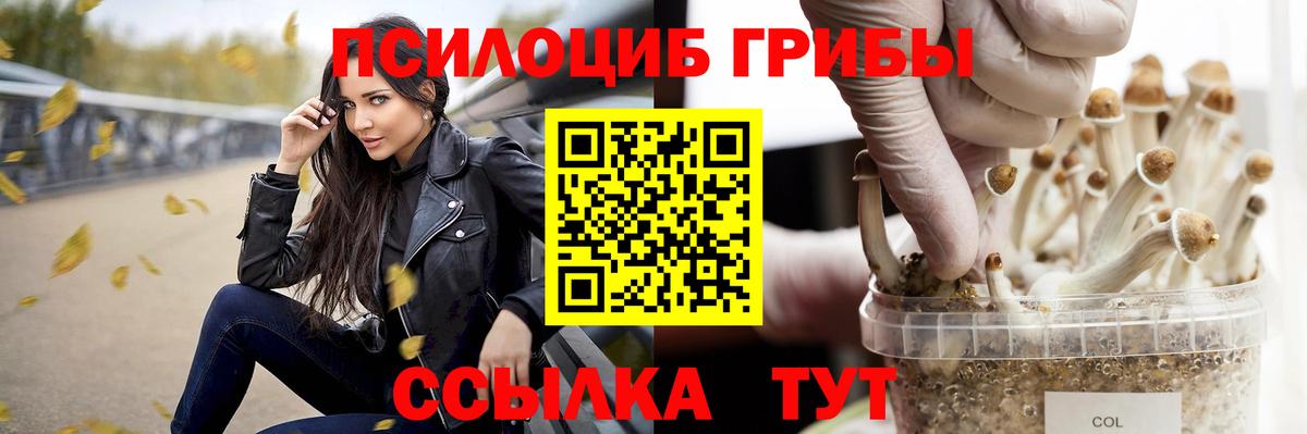 Псилоцибиновые грибы ЛСД  Вход с VPN  Псилоцибиновые грибы GOLDEN TEACHER  закладки  Гудермес 