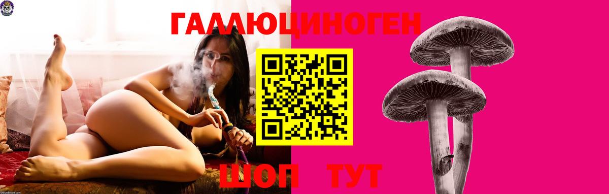 Галлюциногенные грибы прущие грибы  Гудермес 