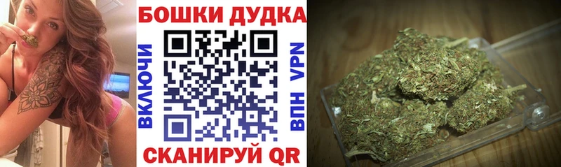 KRAKEN сайт  Гудермес  Бошки марихуана Amnesia 