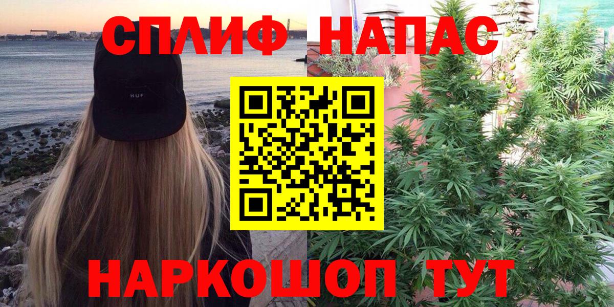 МАРИХУАНА план Гудермес